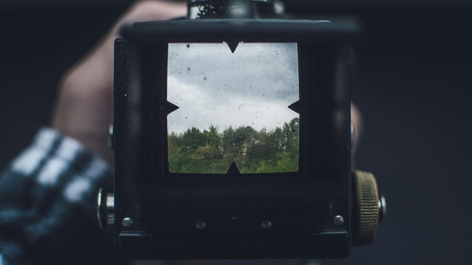 black camera taking photo of green trees during daytime