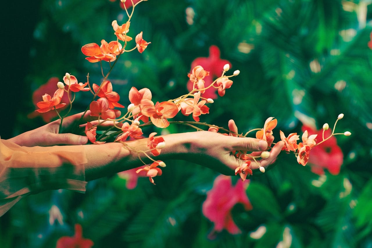 Hawai'i Business Guide to AI-Powered Customer Personalization