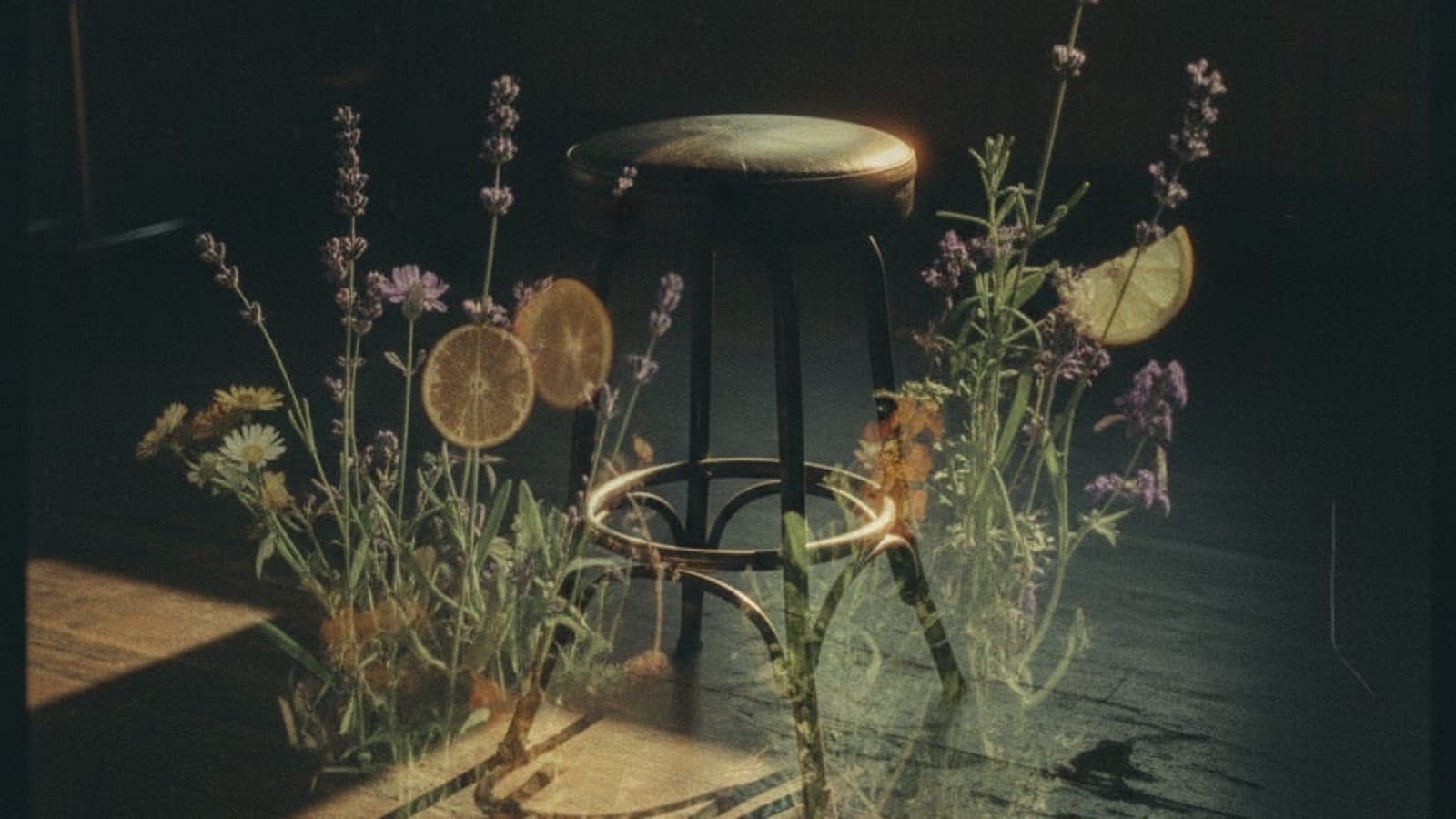 Vintage film photo of empty barstool surrounded by lavender, citrus, and wildflowers in golden light, suggesting the botanical shift in what fills glasses at bars now