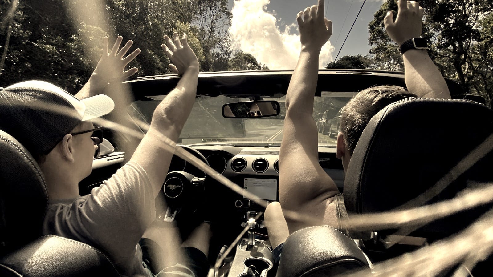 Passengers in a convertible Mustang with hands raised, shot from the back seat, trees overhead.