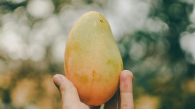 Mango Sticky Rice Smoothie Slay Era Strikes… Come on, who are we kidding? This was some damn good marketing.