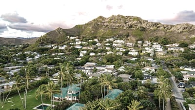 Lush green Hawaiian hillside with residential homes nestled among palm trees, representing the diverse geographic landscape of Hawaii's island-to-island marketing nuances.