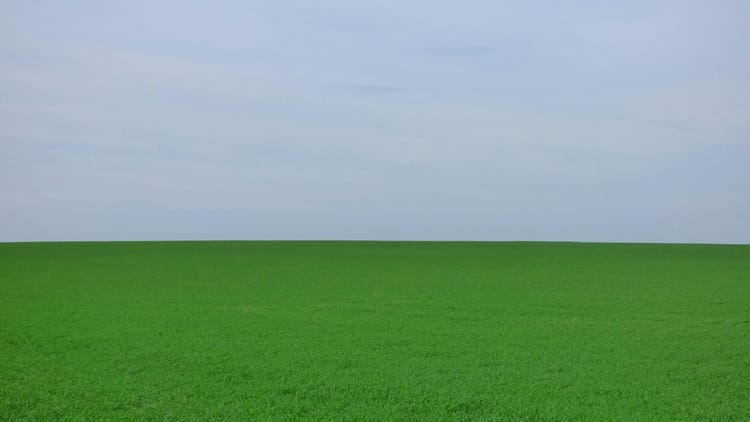 Minimalist landscape with vibrant green grass field below and pale blue sky above separated by clear horizon, representing structured AI-native SEO